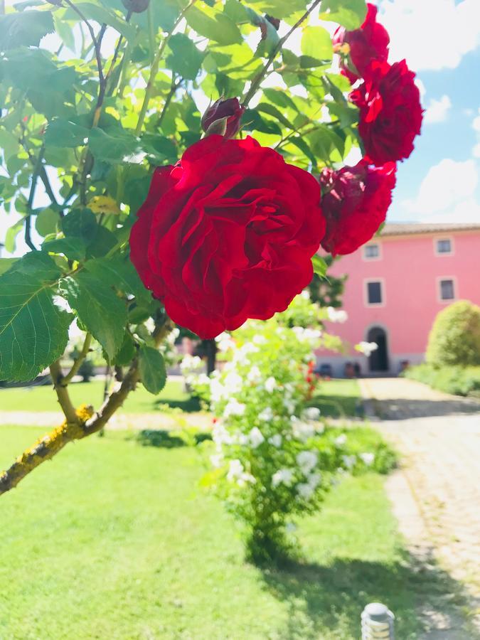 Antico Borgo De Romolini Villa Sansepolcro Buitenkant foto